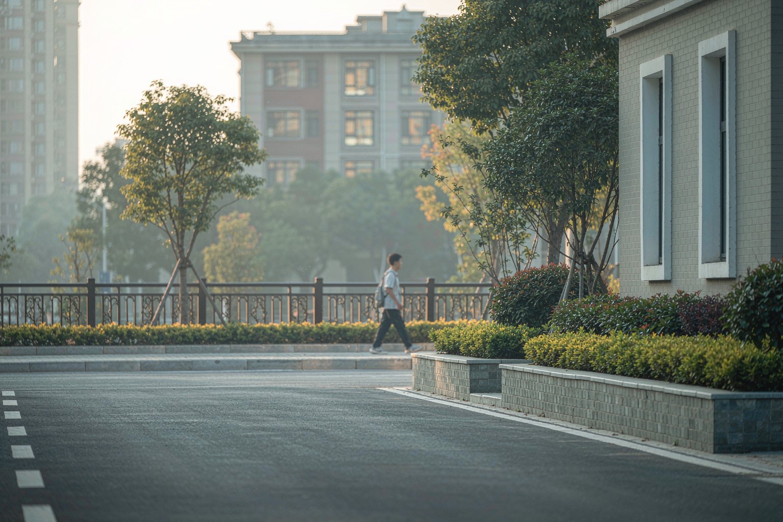 清晨的街道，一个背着书包的孩子背影正走向学校